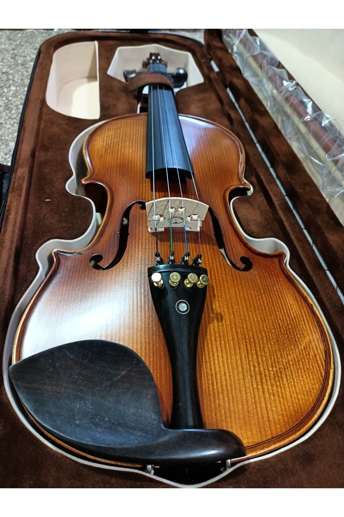 Swing El Yapımı Seviye Keman 4/4 Sv-544