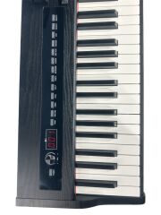 Adp 200 Digital Piyano